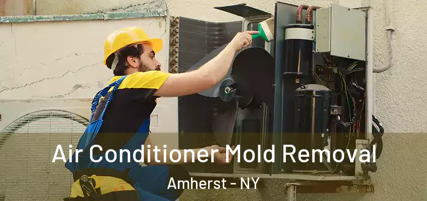  Air Conditioner Mold Removal Amherst - NY