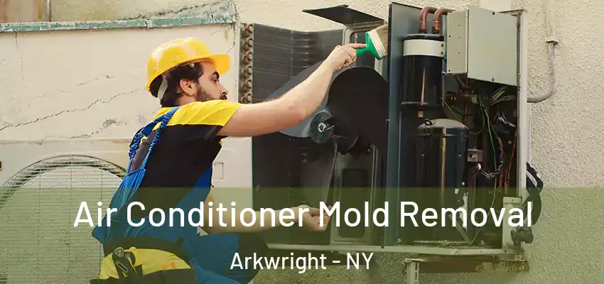  Air Conditioner Mold Removal Arkwright - NY