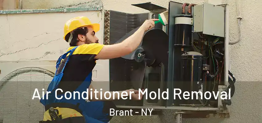  Air Conditioner Mold Removal Brant - NY
