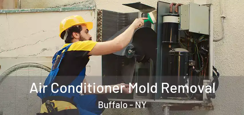  Air Conditioner Mold Removal Buffalo - NY