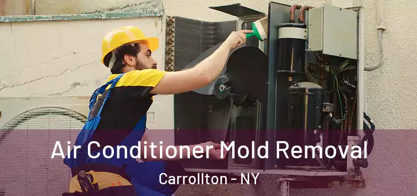  Air Conditioner Mold Removal Carrollton - NY