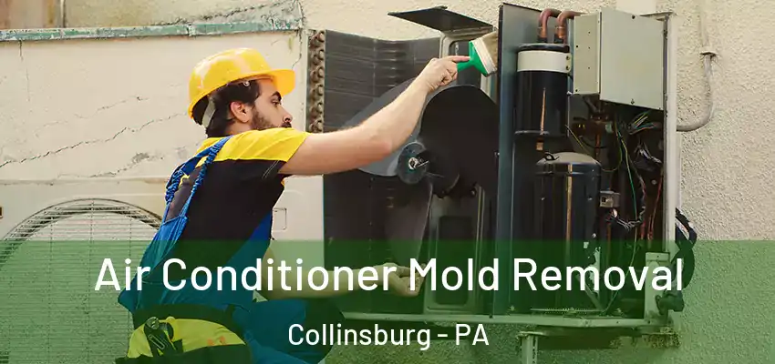  Air Conditioner Mold Removal Collinsburg - PA