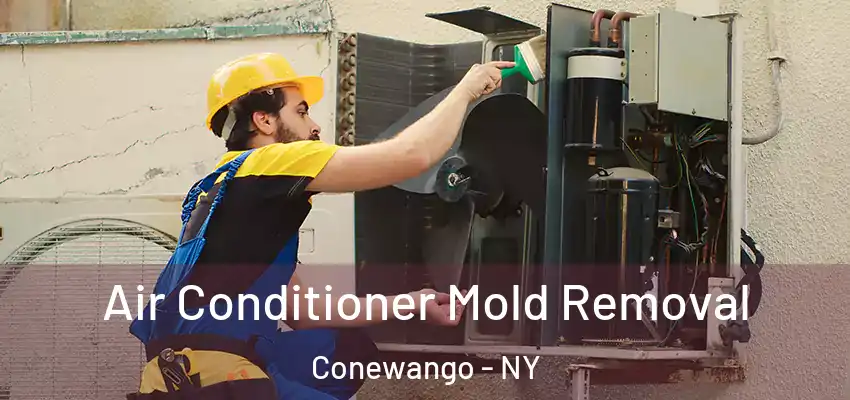  Air Conditioner Mold Removal Conewango - NY