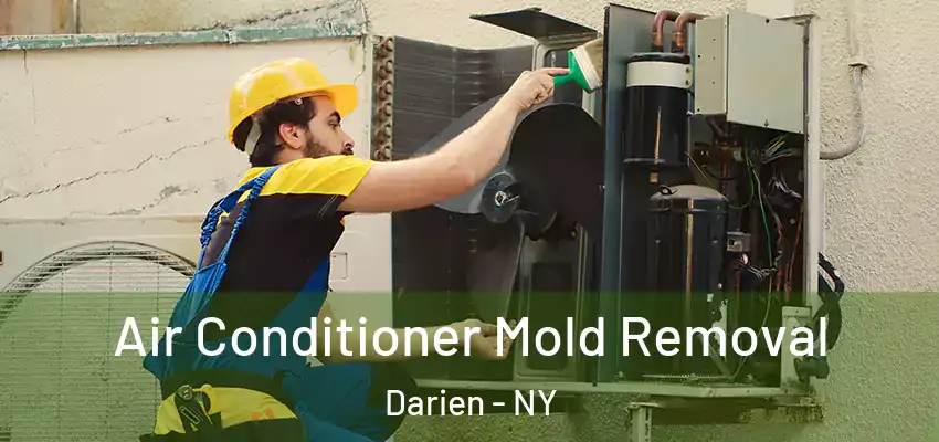  Air Conditioner Mold Removal Darien - NY