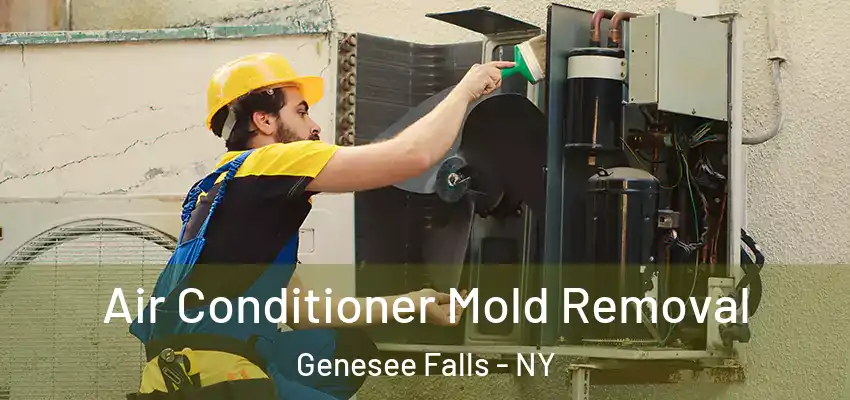  Air Conditioner Mold Removal Genesee Falls - NY