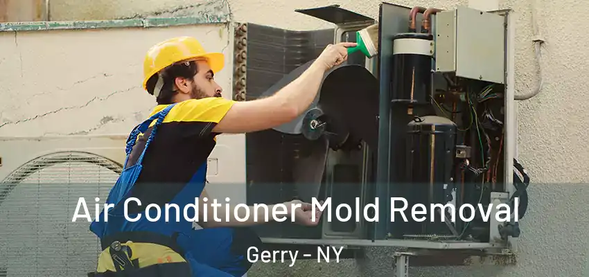  Air Conditioner Mold Removal Gerry - NY