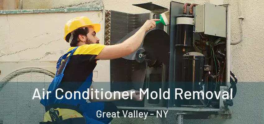  Air Conditioner Mold Removal Great Valley - NY