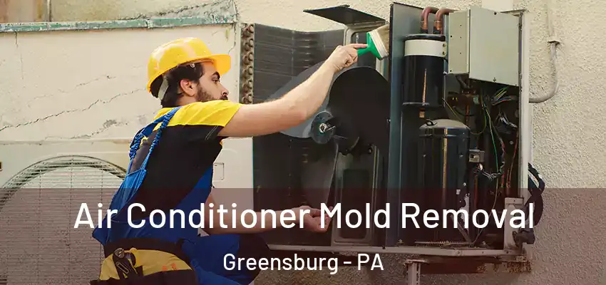  Air Conditioner Mold Removal Greensburg - PA