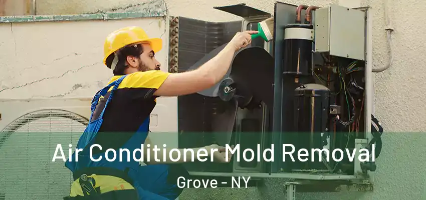  Air Conditioner Mold Removal Grove - NY