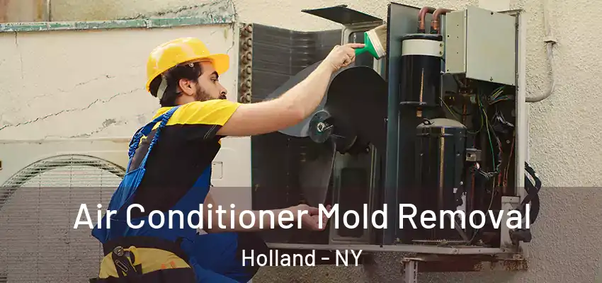  Air Conditioner Mold Removal Holland - NY