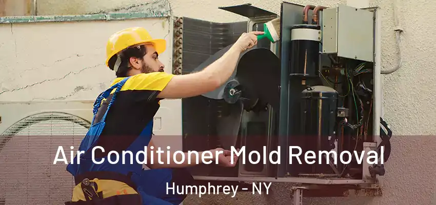  Air Conditioner Mold Removal Humphrey - NY