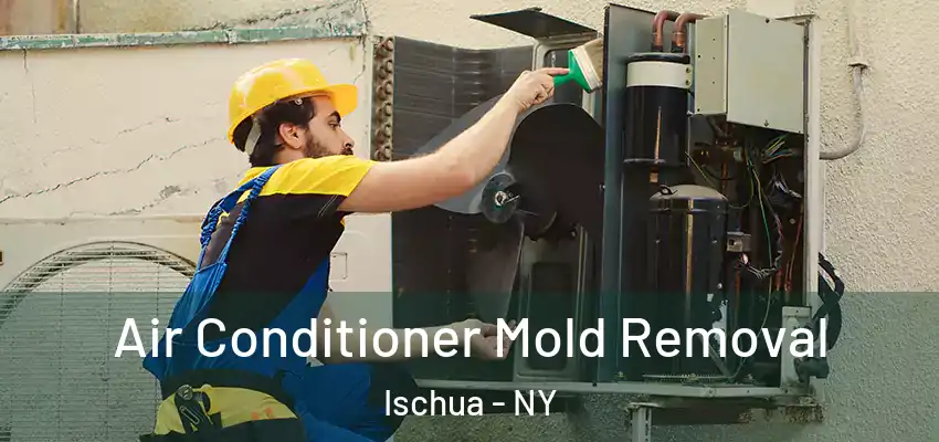  Air Conditioner Mold Removal Ischua - NY