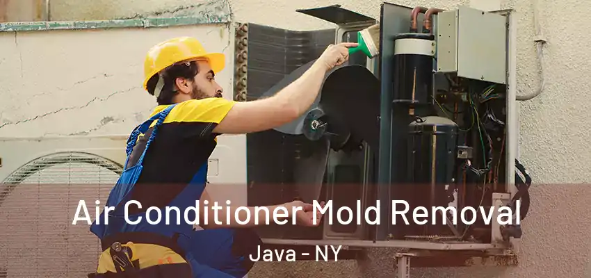  Air Conditioner Mold Removal Java - NY
