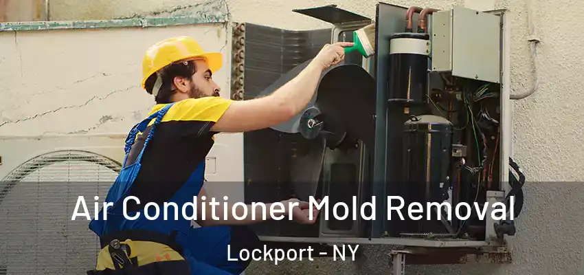  Air Conditioner Mold Removal Lockport - NY