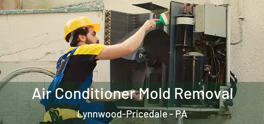  Air Conditioner Mold Removal Lynnwood-Pricedale - PA