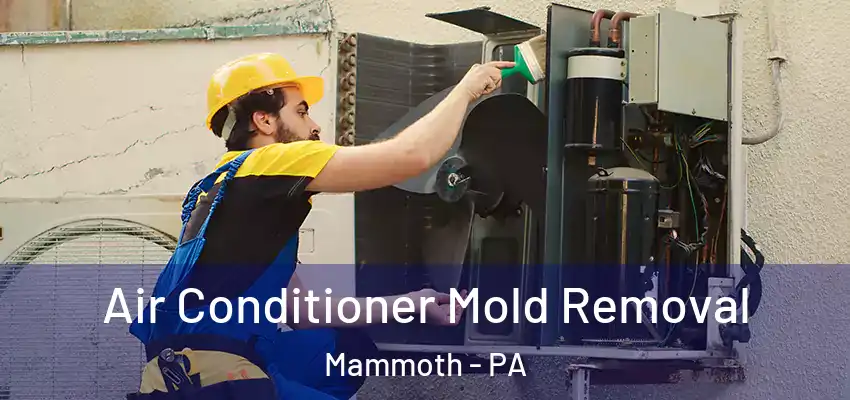  Air Conditioner Mold Removal Mammoth - PA