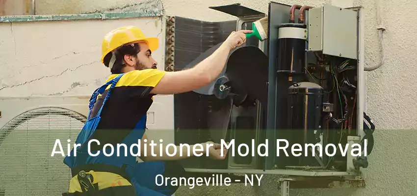  Air Conditioner Mold Removal Orangeville - NY