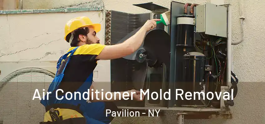  Air Conditioner Mold Removal Pavilion - NY