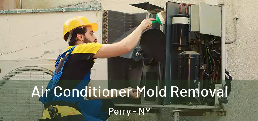  Air Conditioner Mold Removal Perry - NY