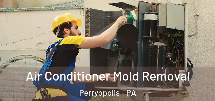  Air Conditioner Mold Removal Perryopolis - PA