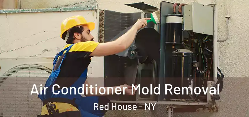  Air Conditioner Mold Removal Red House - NY