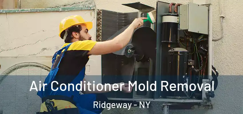  Air Conditioner Mold Removal Ridgeway - NY