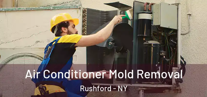  Air Conditioner Mold Removal Rushford - NY