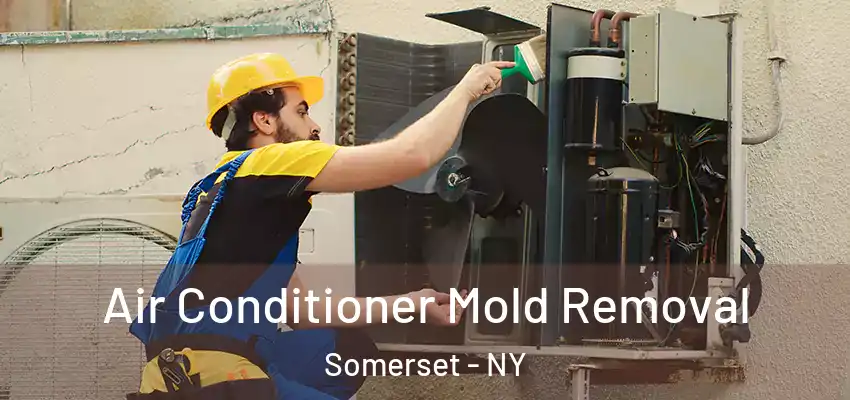  Air Conditioner Mold Removal Somerset - NY