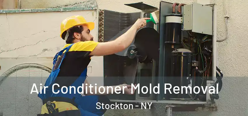  Air Conditioner Mold Removal Stockton - NY