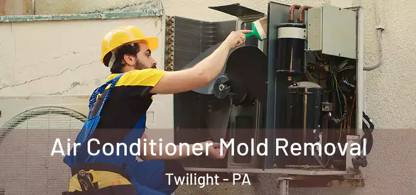  Air Conditioner Mold Removal Twilight - PA
