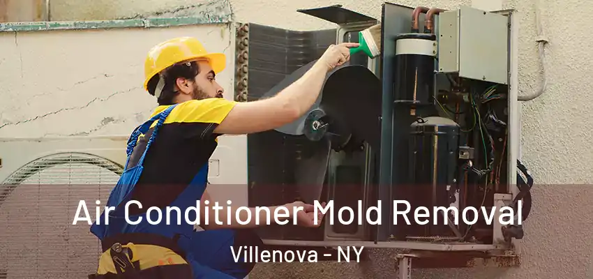  Air Conditioner Mold Removal Villenova - NY