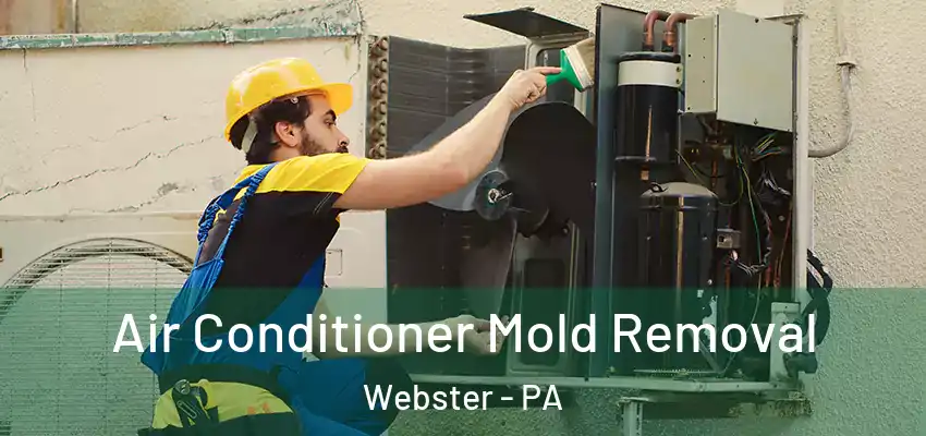  Air Conditioner Mold Removal Webster - PA