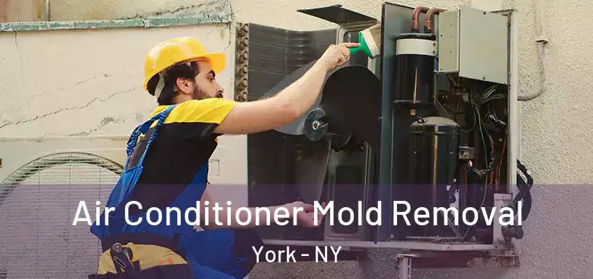  Air Conditioner Mold Removal York - NY