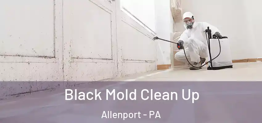  Black Mold Clean Up Allenport - PA