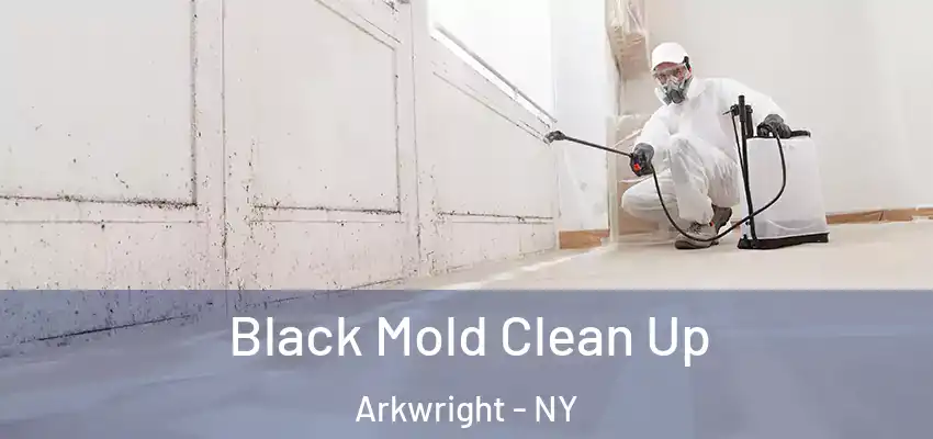  Black Mold Clean Up Arkwright - NY