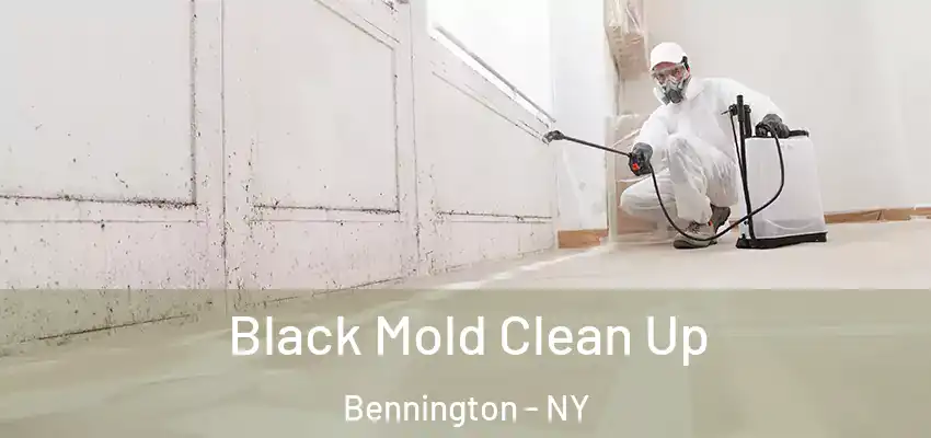  Black Mold Clean Up Bennington - NY