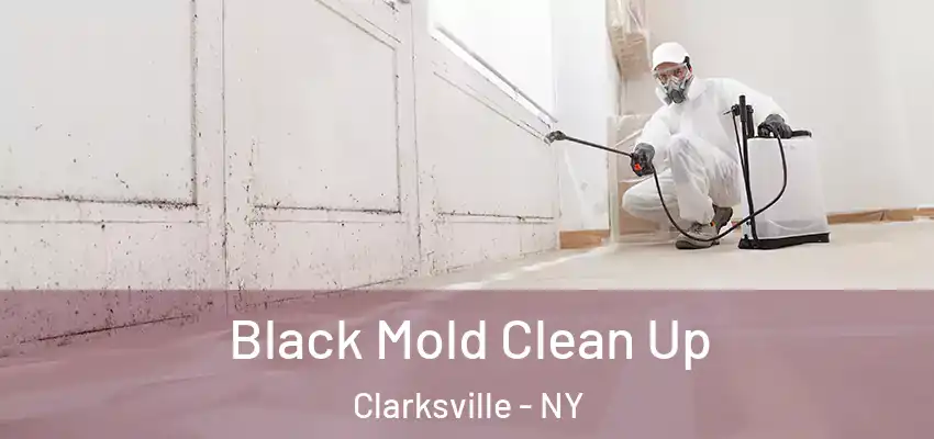  Black Mold Clean Up Clarksville - NY