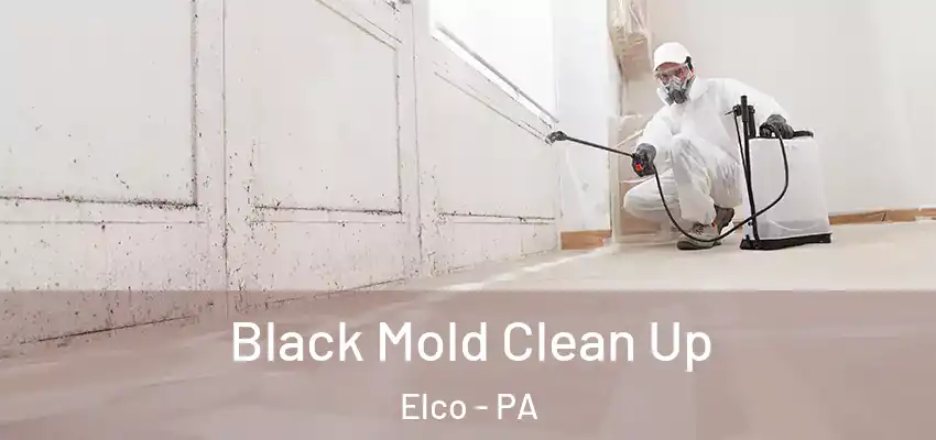  Black Mold Clean Up Elco - PA