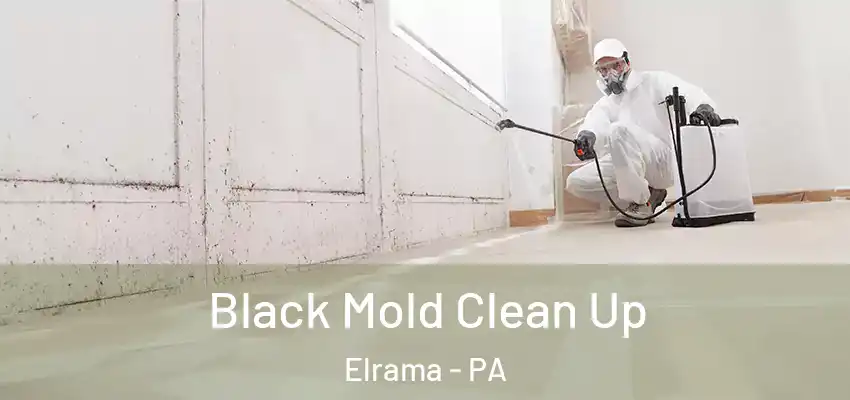  Black Mold Clean Up Elrama - PA