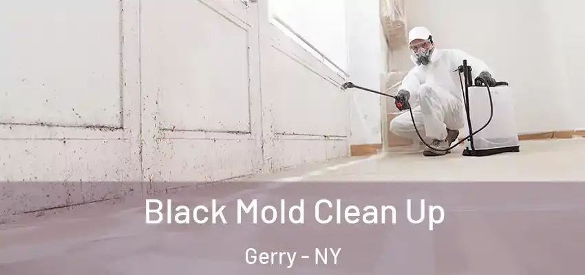  Black Mold Clean Up Gerry - NY