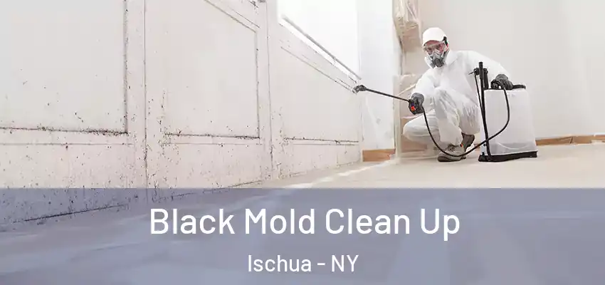  Black Mold Clean Up Ischua - NY