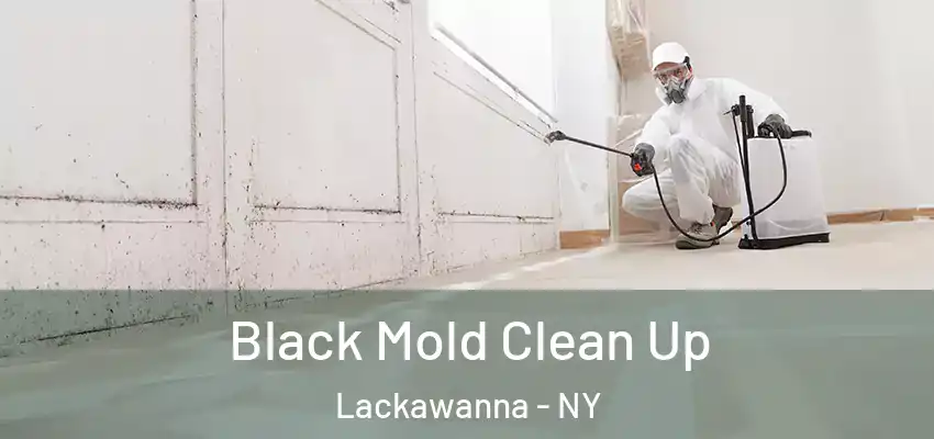  Black Mold Clean Up Lackawanna - NY