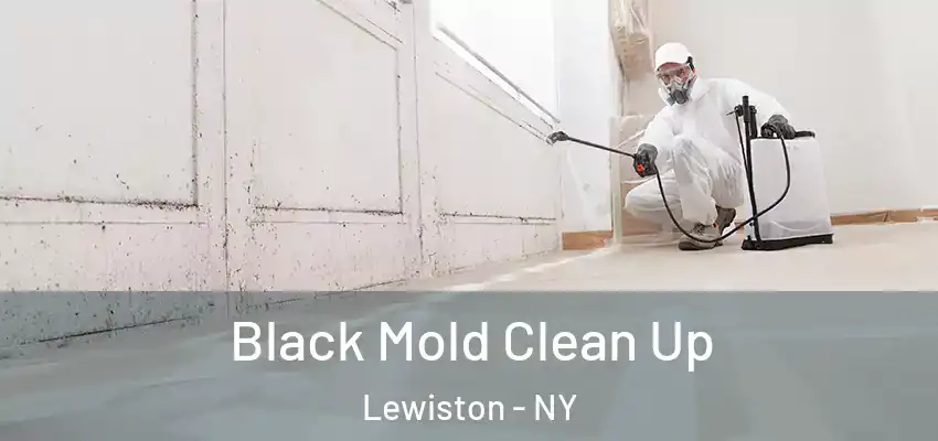  Black Mold Clean Up Lewiston - NY