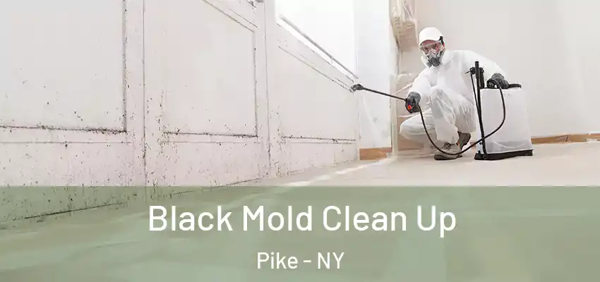 Black Mold Clean Up Pike - NY