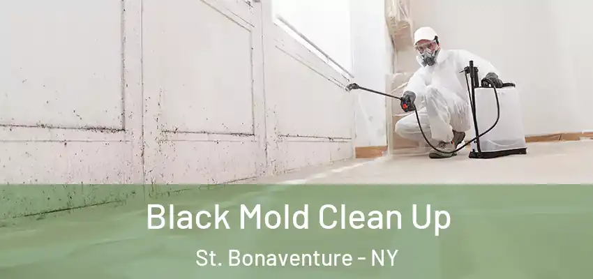  Black Mold Clean Up St. Bonaventure - NY