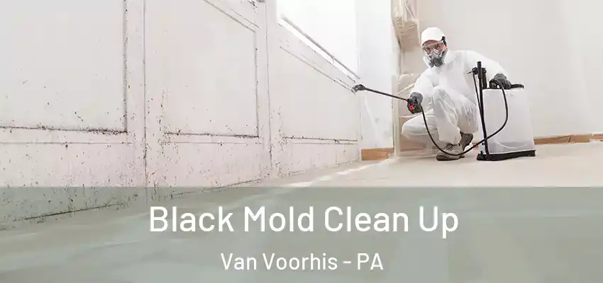  Black Mold Clean Up Van Voorhis - PA