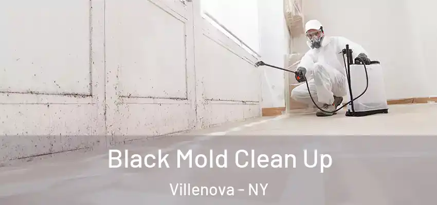  Black Mold Clean Up Villenova - NY