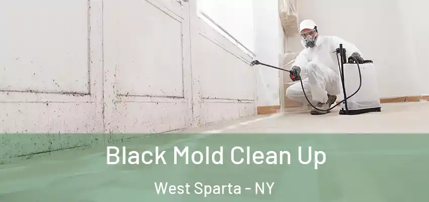  Black Mold Clean Up West Sparta - NY