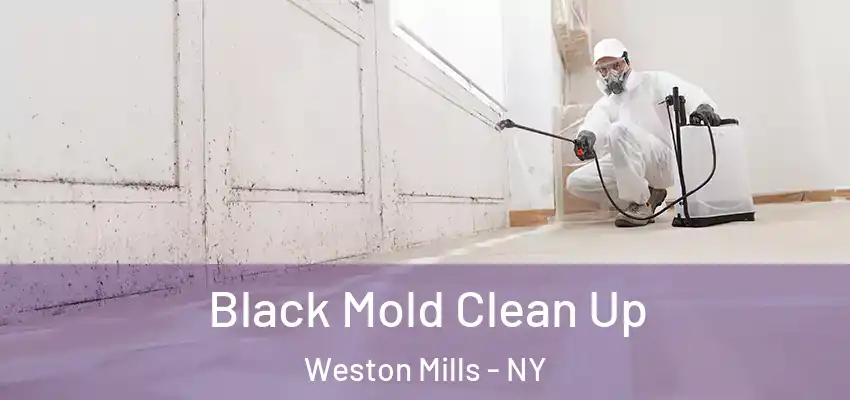  Black Mold Clean Up Weston Mills - NY