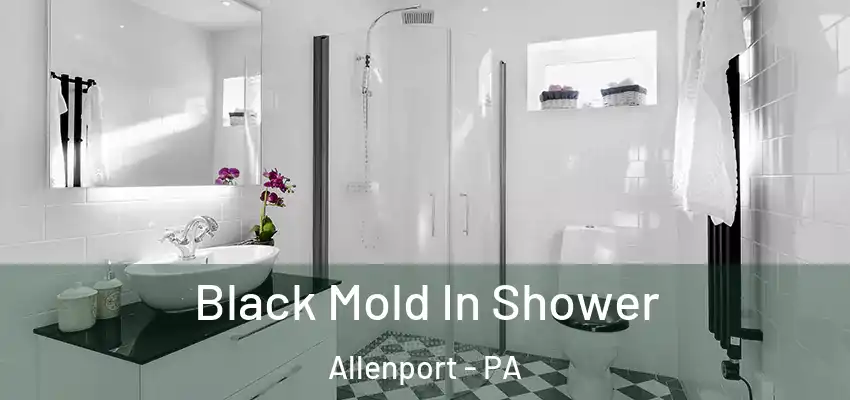  Black Mold In Shower Allenport - PA